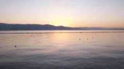 Dampak Viral: Dari Biasa Jadi Terkenal Seketika