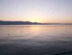 Trending Seketika! Kisah Viral yang Bikin Publik Terbelalak