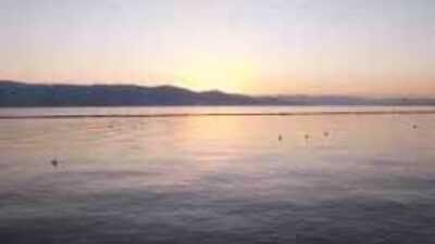 Dampak Viral: Dari Biasa Jadi Terkenal Seketika