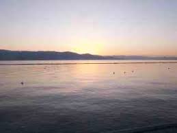 Dampak Viral: Dari Biasa Jadi Terkenal Seketika